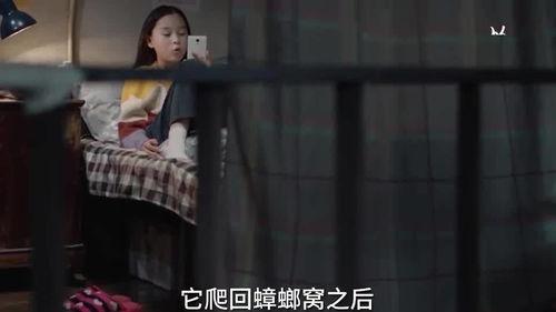 年轻小姐姐爆料视频,揭秘幕后真相